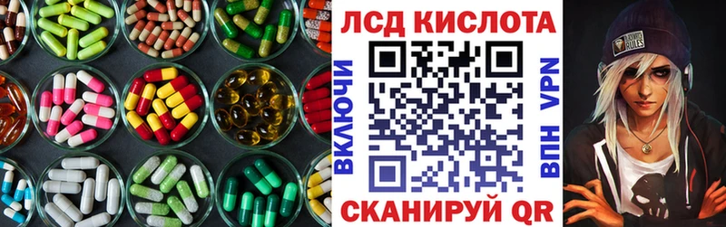kraken как войти  Тында  LSD-25 экстази кислота  как найти наркотики 