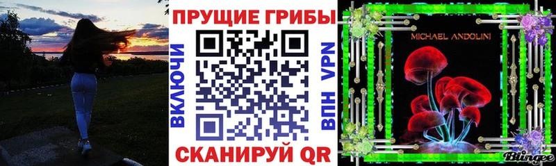 Псилоцибиновые грибы Psilocybine cubensis  Тында 
